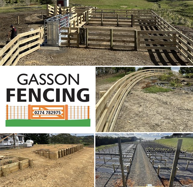 Gasson Fencing - Mangatawhiri School